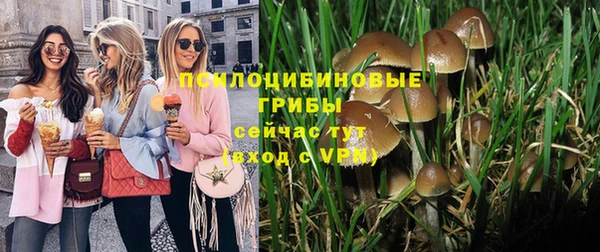 дмт Армянск