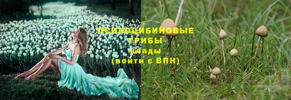 индика Алзамай