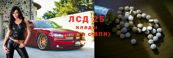 прущие грибы Аркадак
